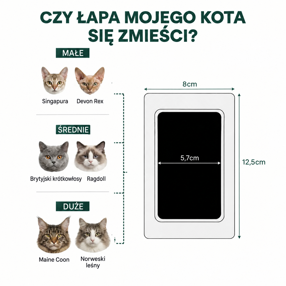 Czy łapa mojego kota się zmieści: wymiary wkładu 8 x 12,5 cm