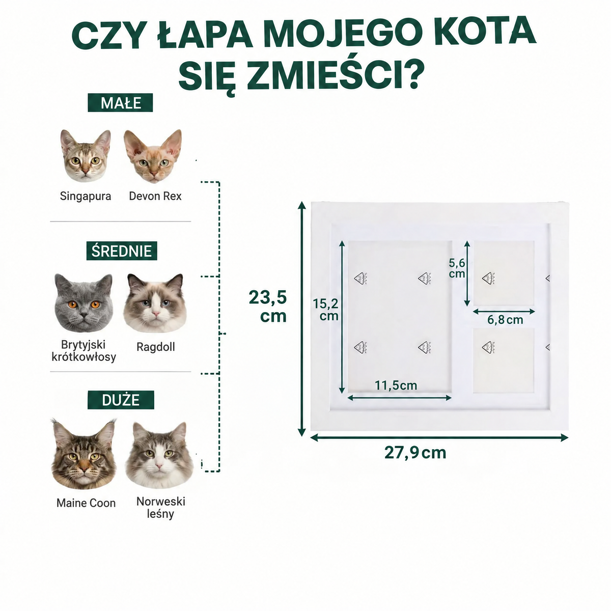 Czy łapa mojego kota się zmieści: wymiary ramki