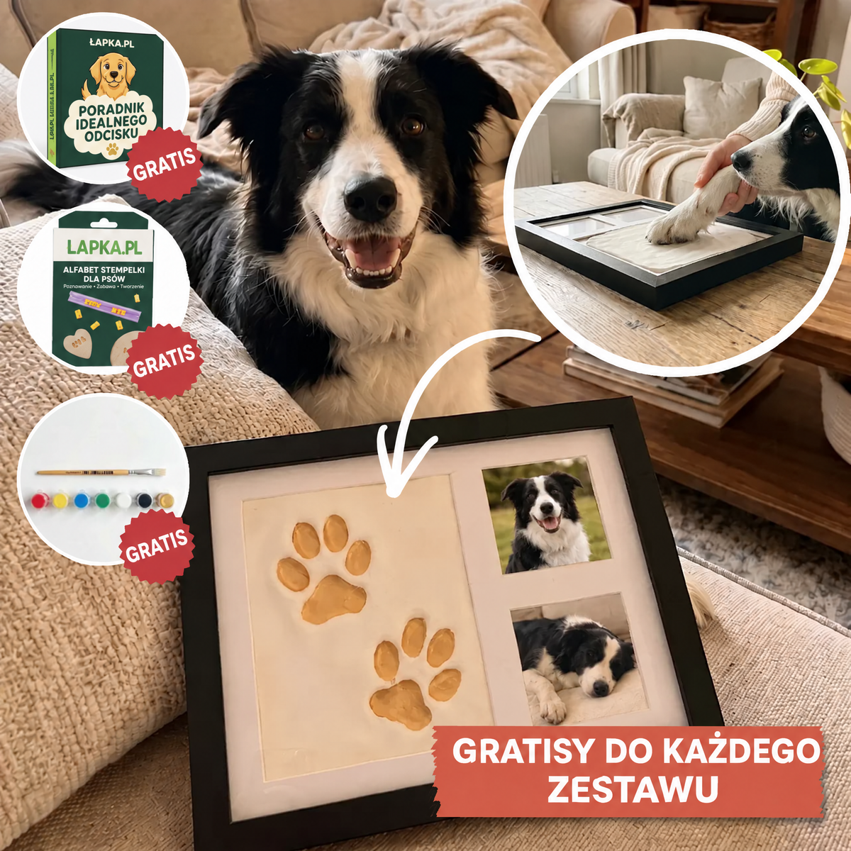 Zestaw na odcisk łapki z gliny: border collie i ramka z odciskami