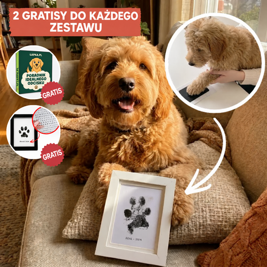 Zestaw na odcisk psiej łapy: goldendoodle i ramka z odciskiem