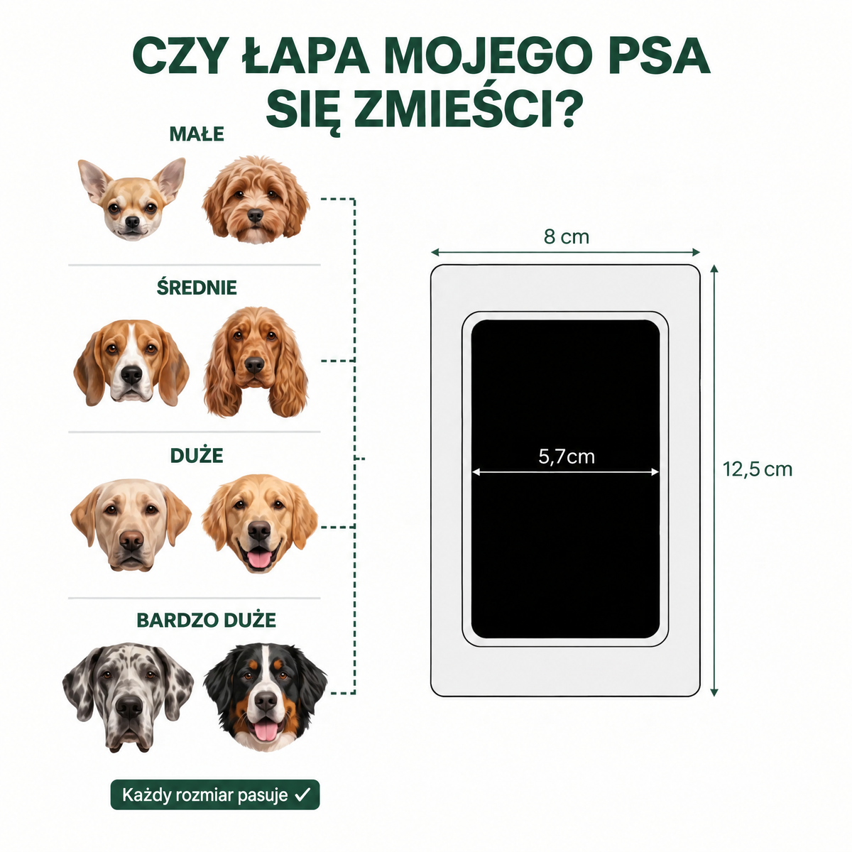 Czy łapa mojego psa się zmieści: wymiary wkładu 8 x 12,5 cm